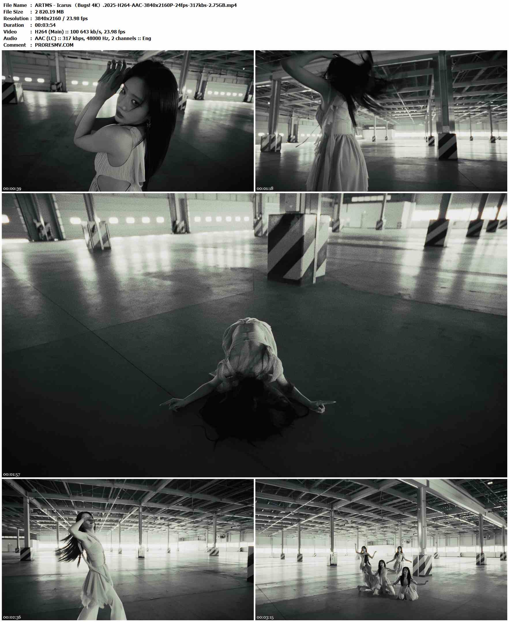 ARTMS - Icarus （Bugs! 4K）.2025-H264-AAC-3840x2160P-24fps-317kbs-2.75GB官方MV_高清MV